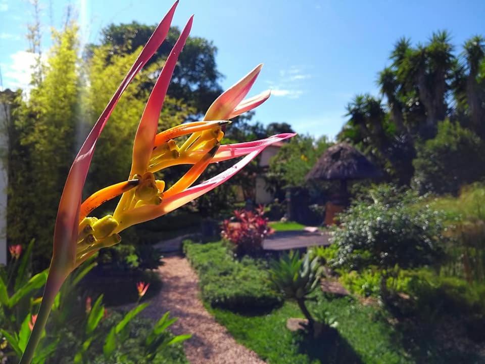 Pousada Paralelo 14 Alto Paraíso de Goiás Екстериор снимка