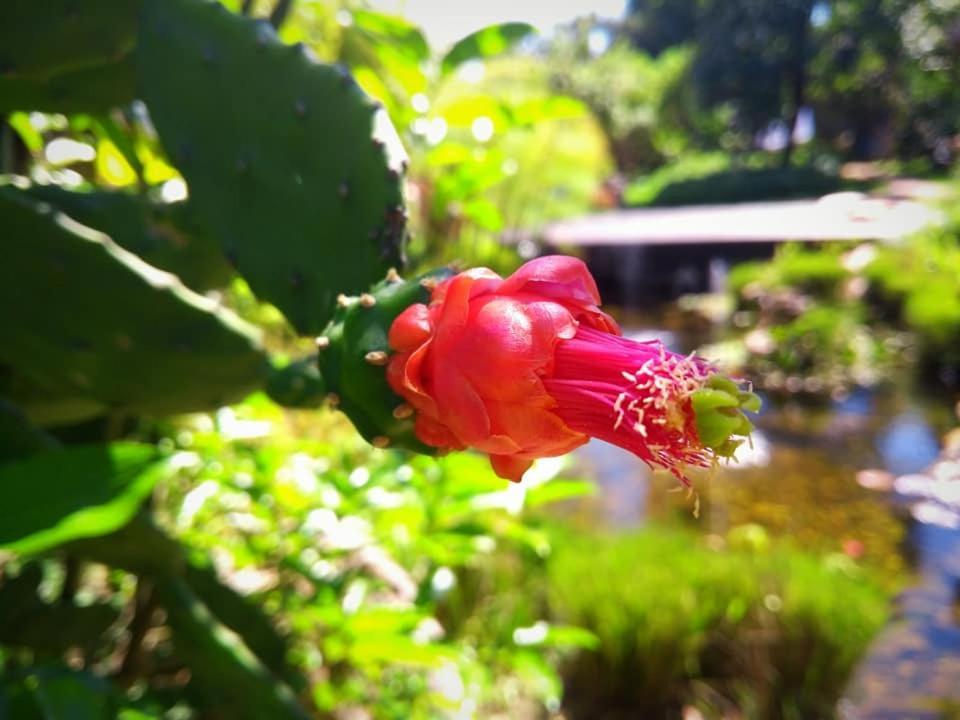 Pousada Paralelo 14 Alto Paraíso de Goiás Екстериор снимка